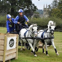 Osberton Driving Trials 2024 Photos