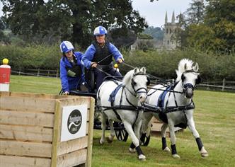 Photos from Osberton Driving Trials 2024